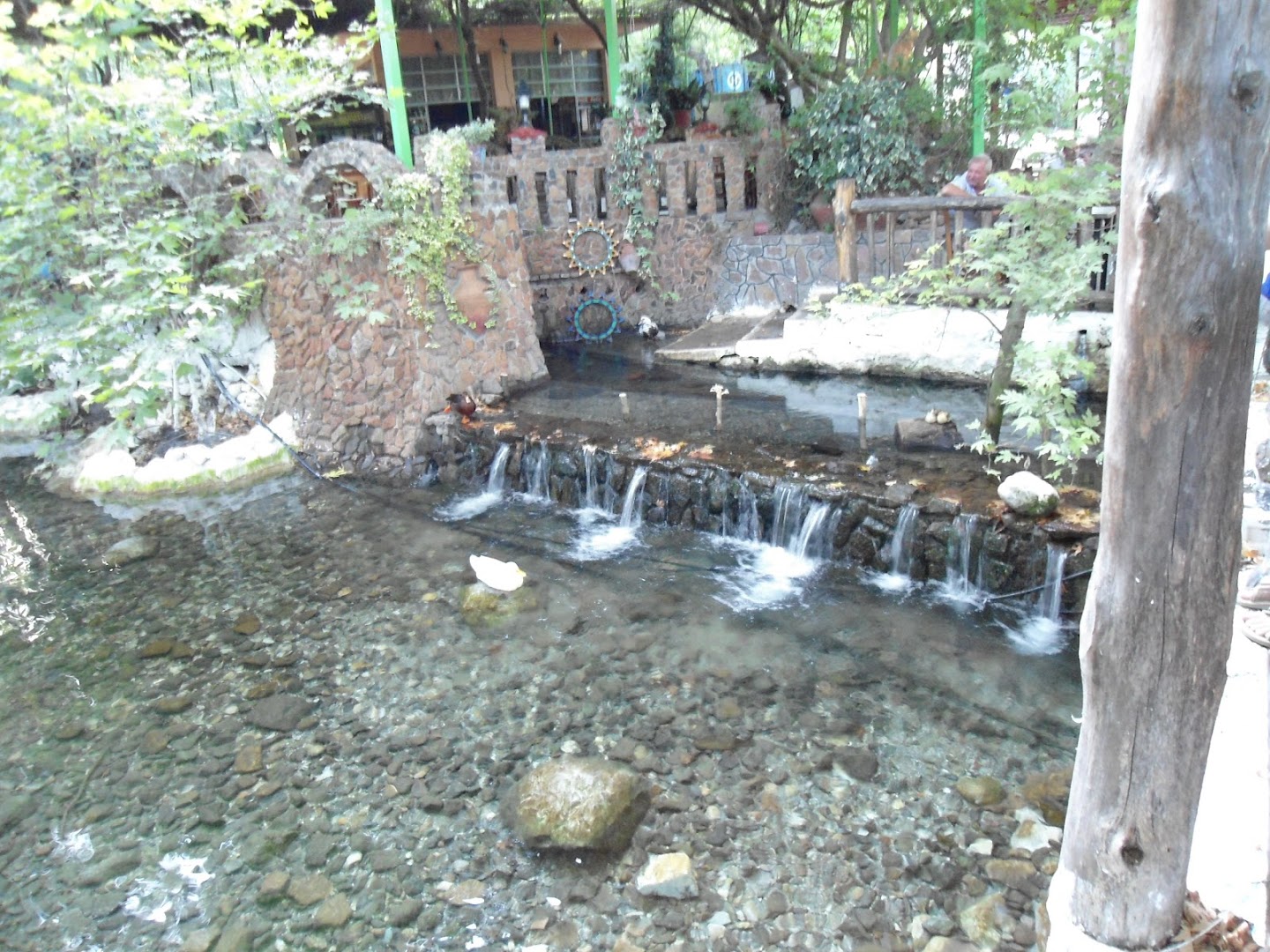Gallery image 7
