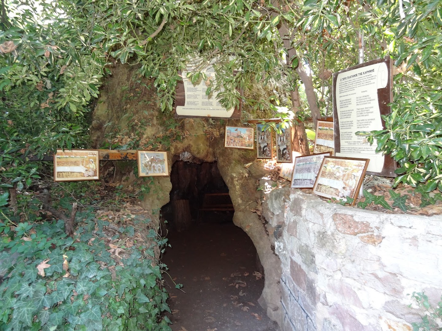 Gallery image 6