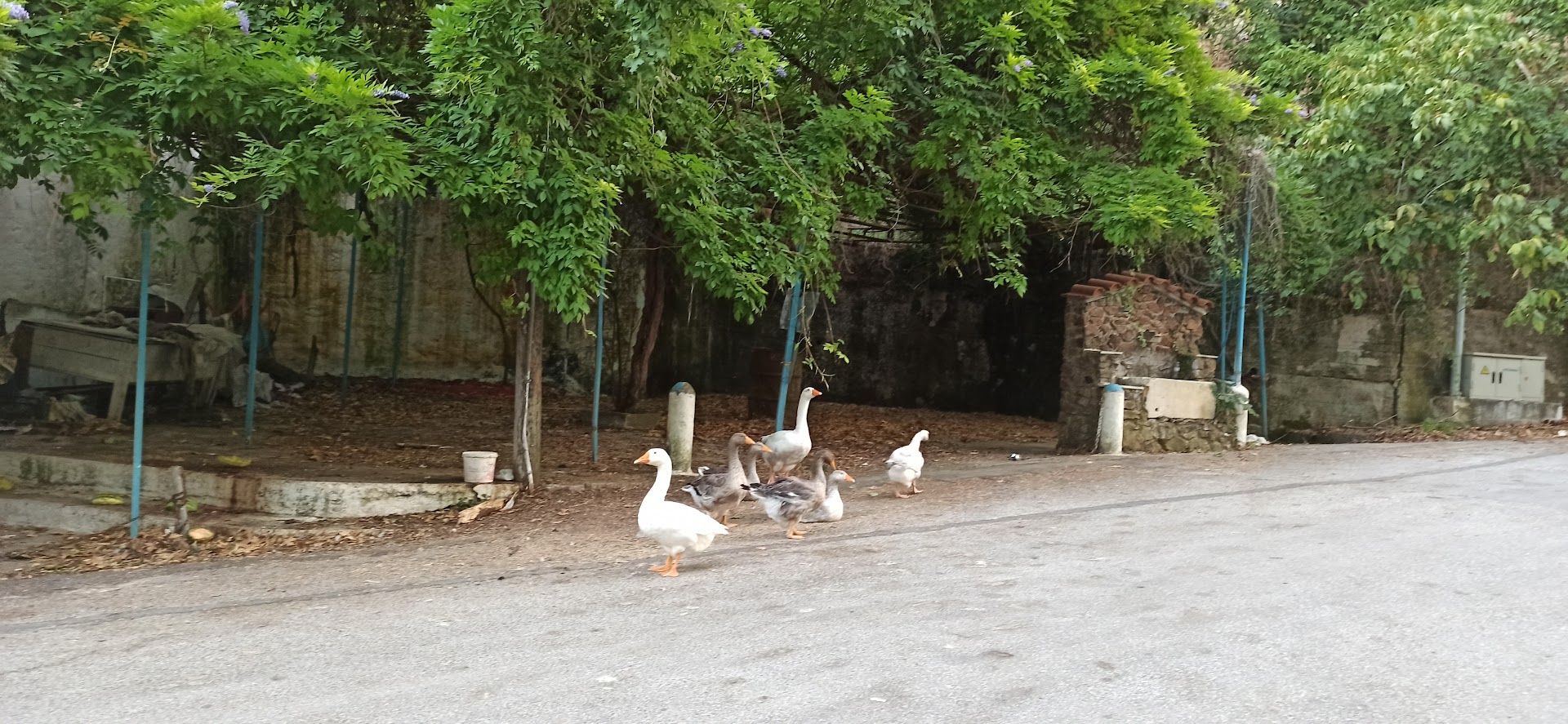 Gallery image 12