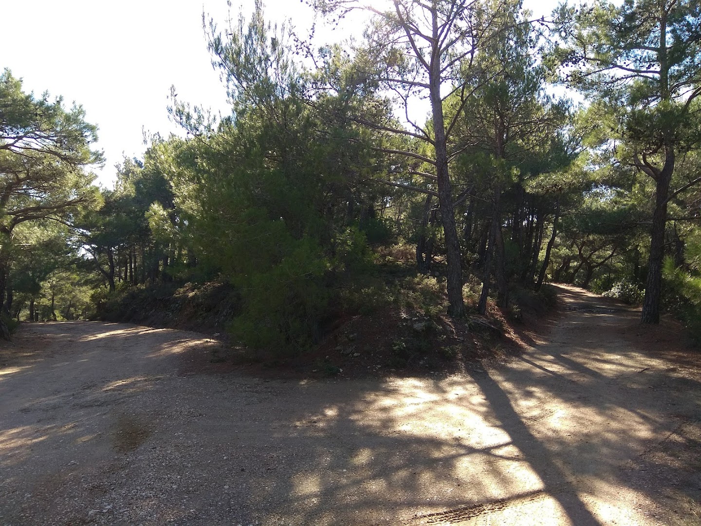 Gallery image 8