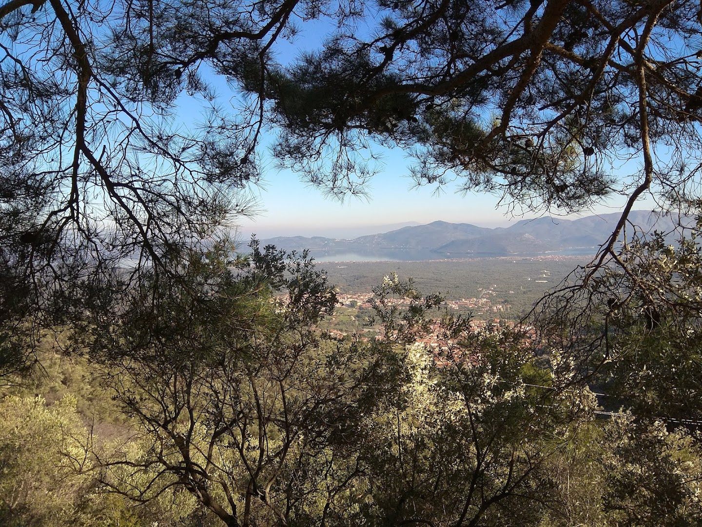 Karionas