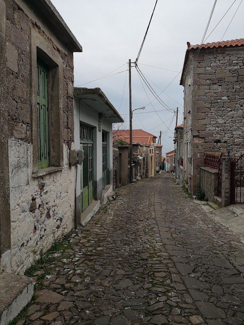 Gallery image 10