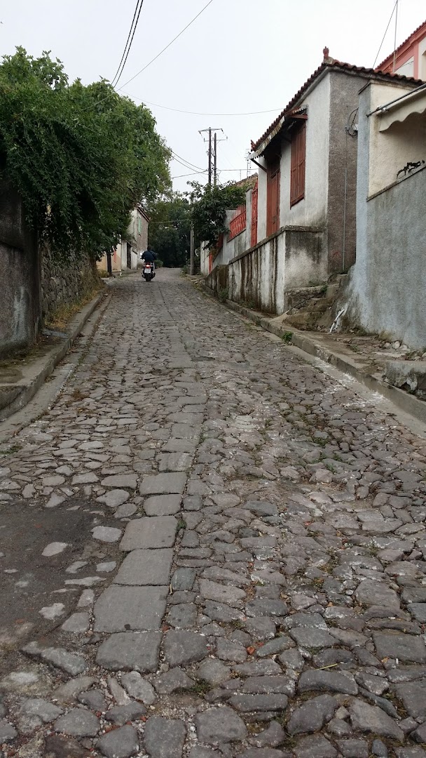 Gallery image 15