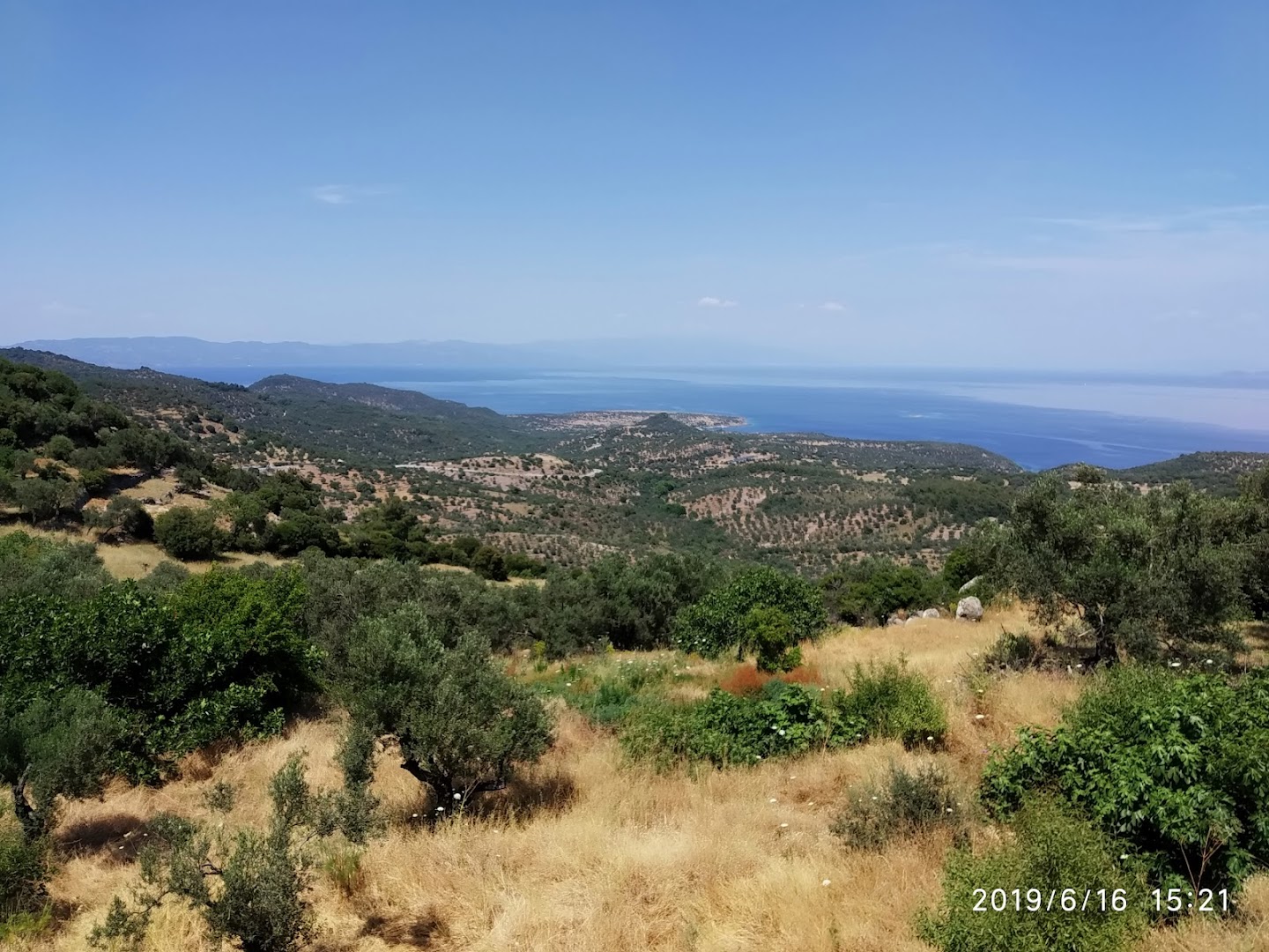 Gallery image 14