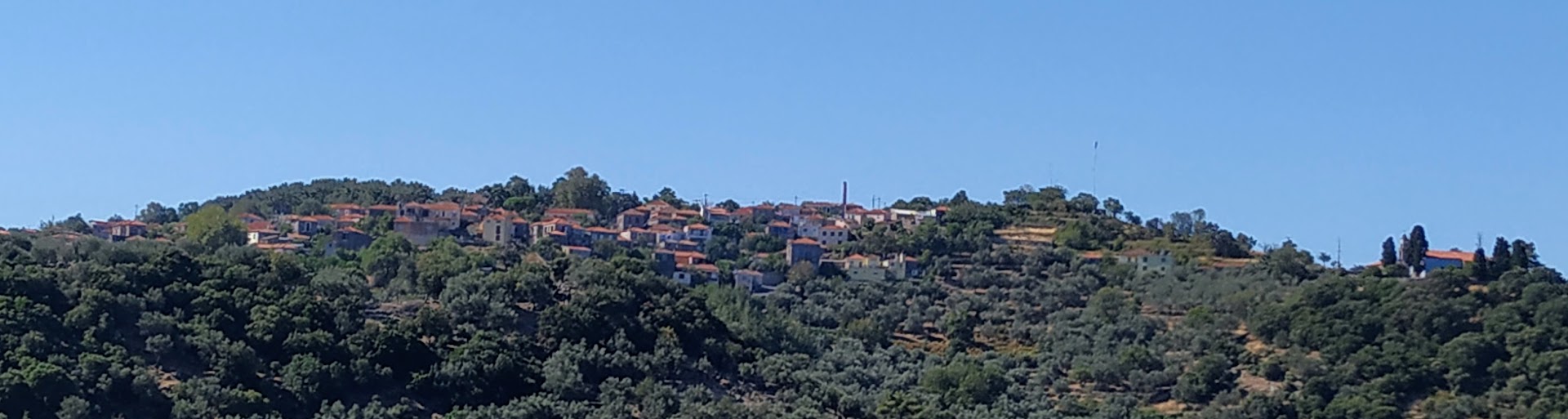 Gallery image 12