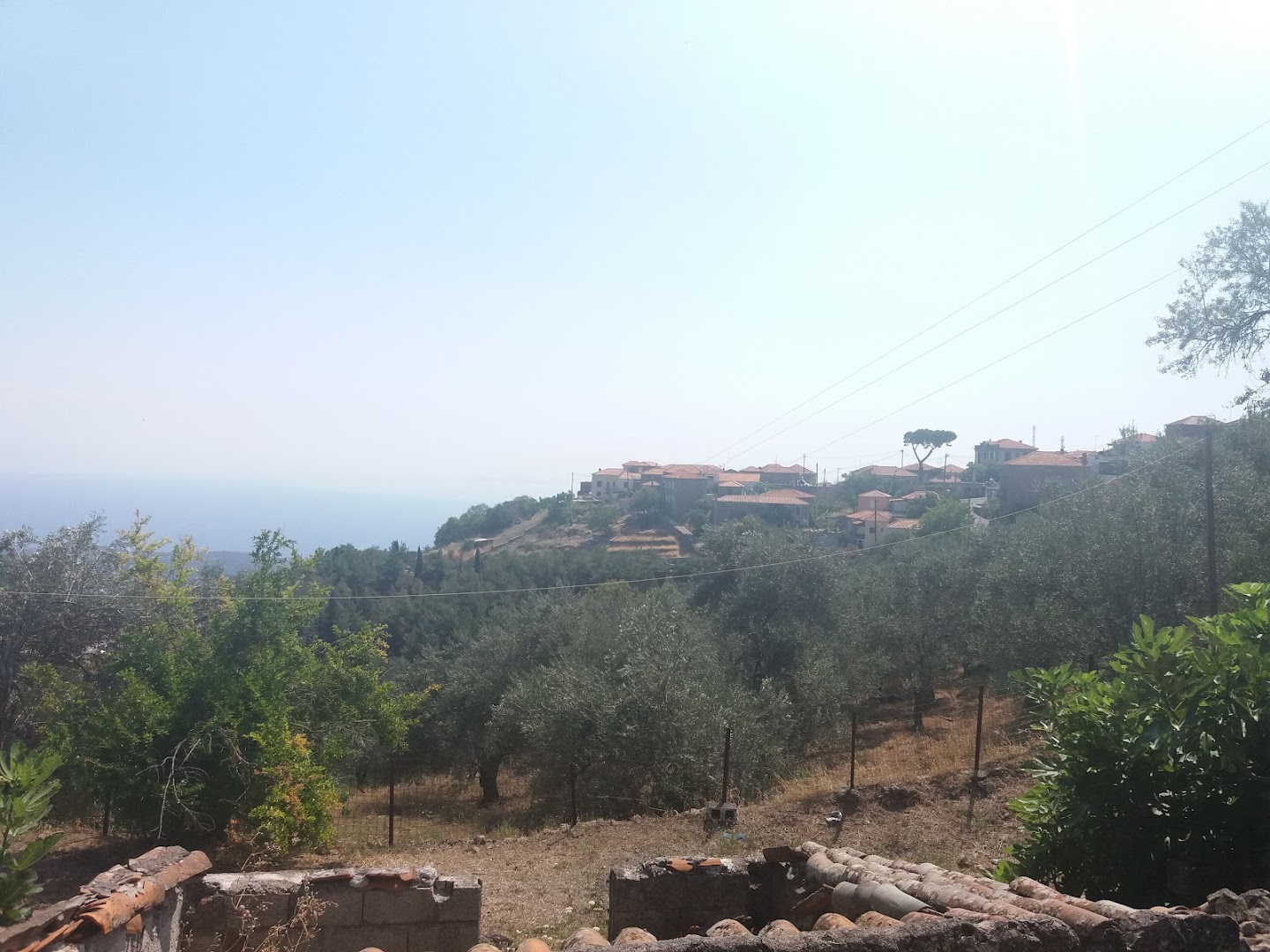 Gallery image 11