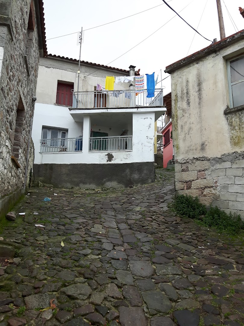 Gallery image 10