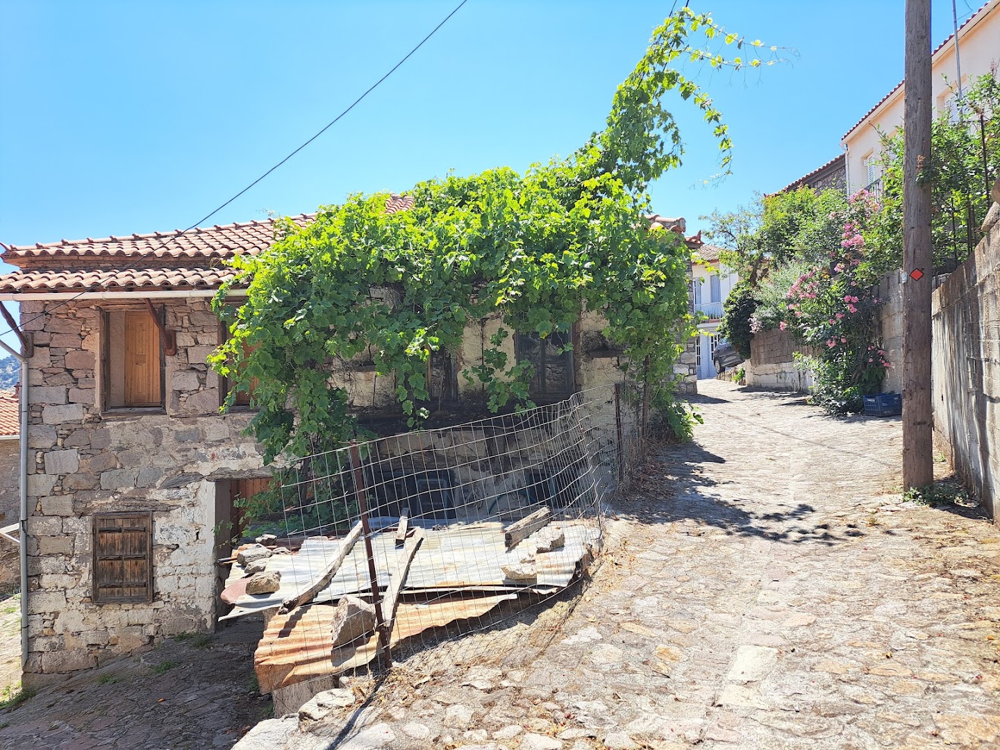 Gallery image 19