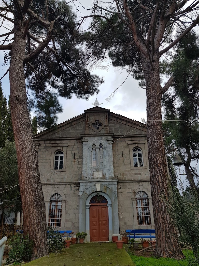 Gallery image 4