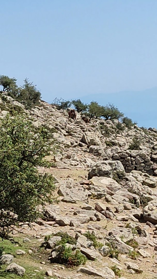 Gallery image 12