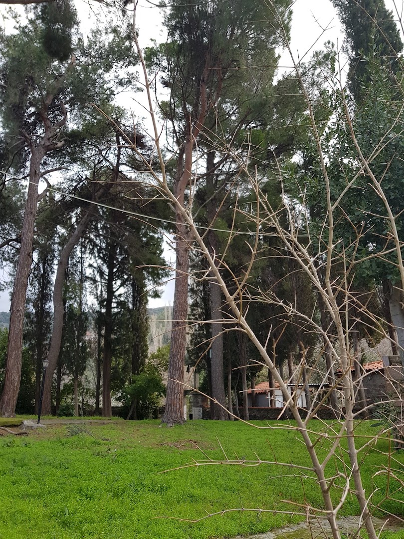 Gallery image 13