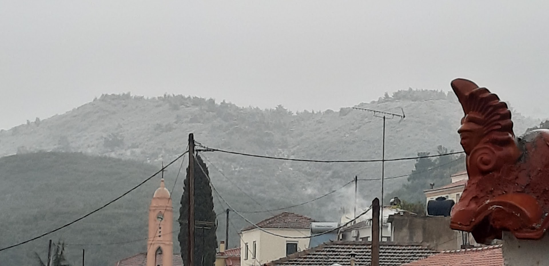 Gallery image 16