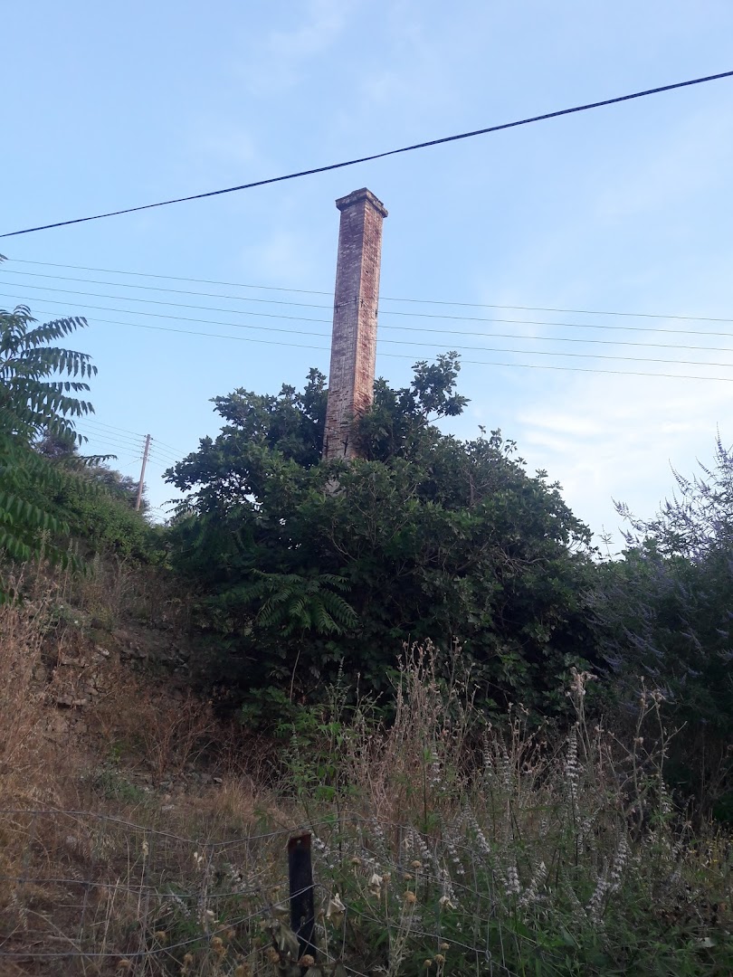 Gallery image 12