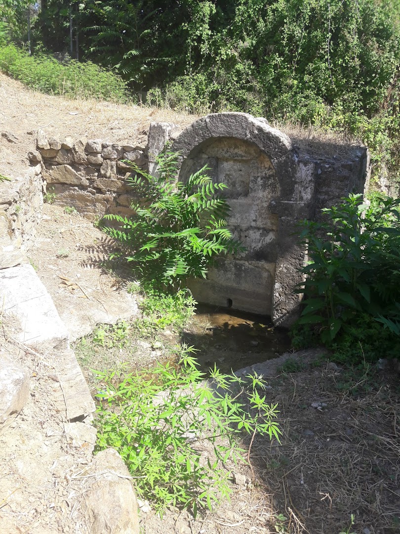 Gallery image 8