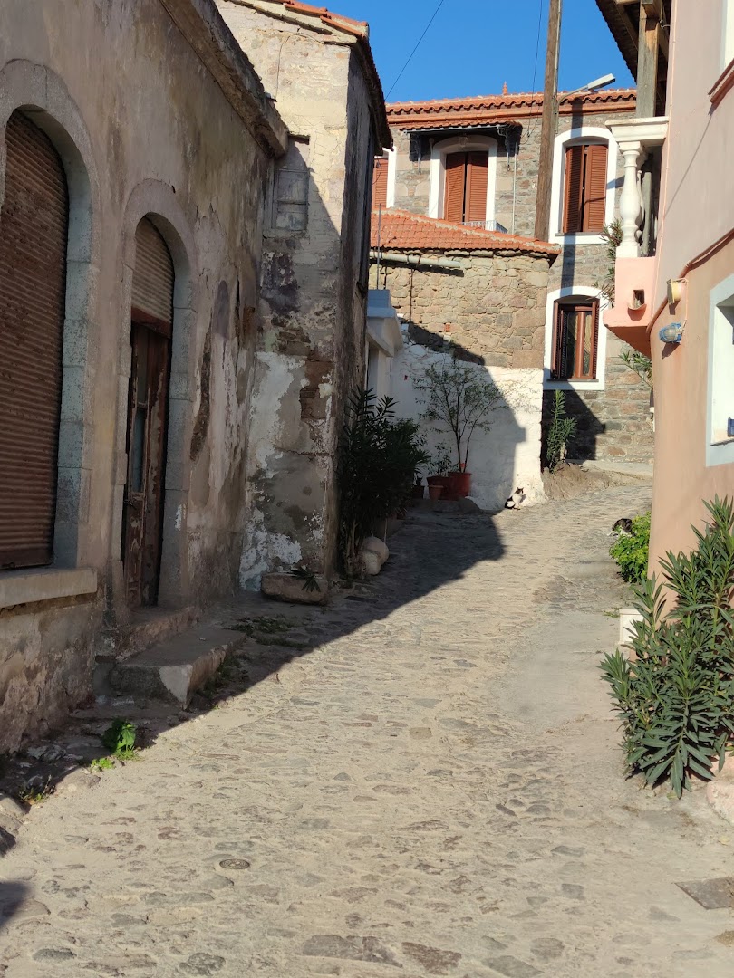 Gallery image 11