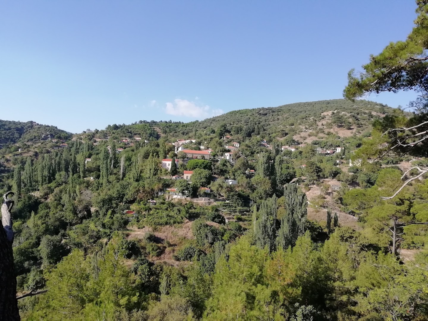 Gallery image 12