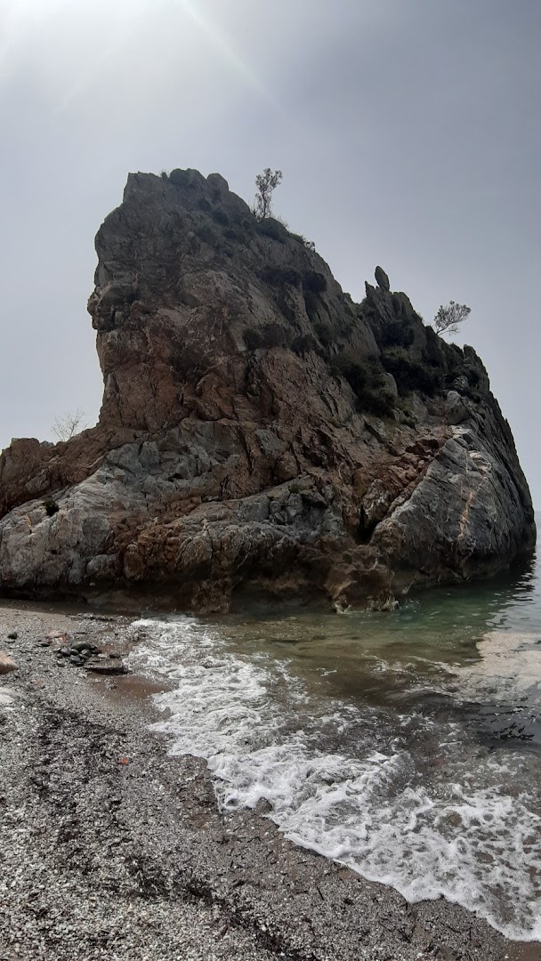 Gallery image 15