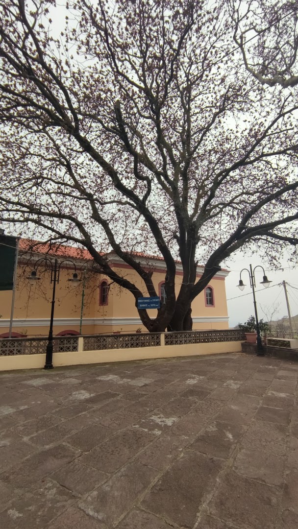 Gallery image 11