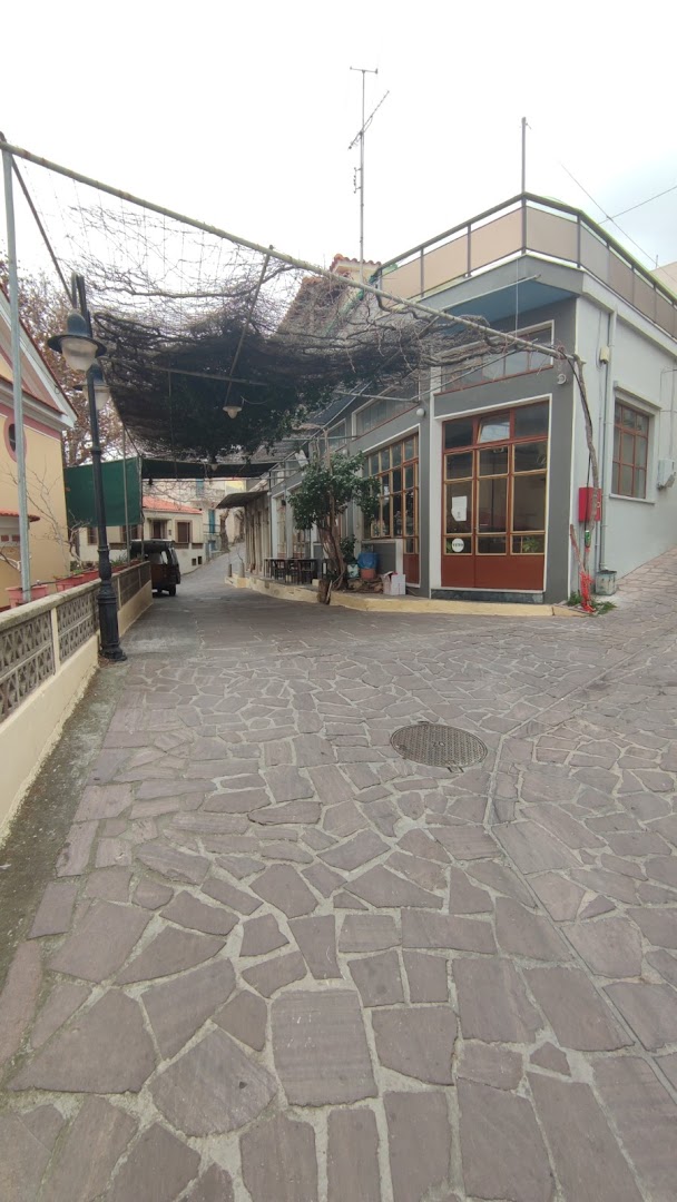 Gallery image 14