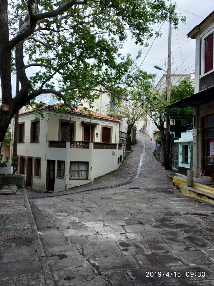 Gallery image 19