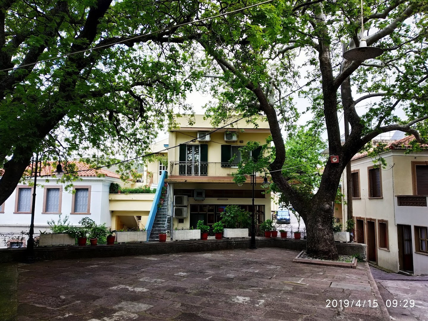 Gallery image 13