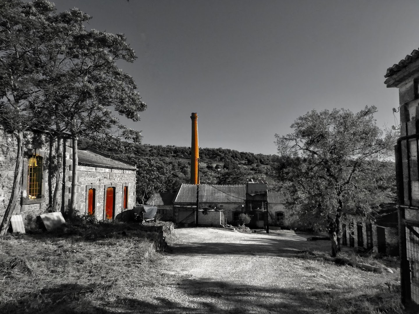 Gallery image 10