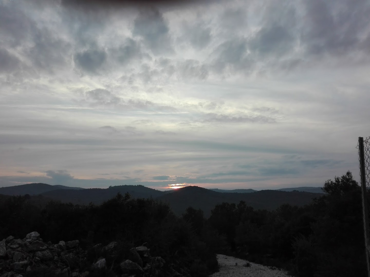 Gallery image 12