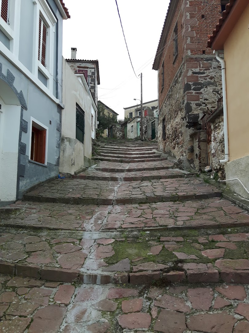 Gallery image 7