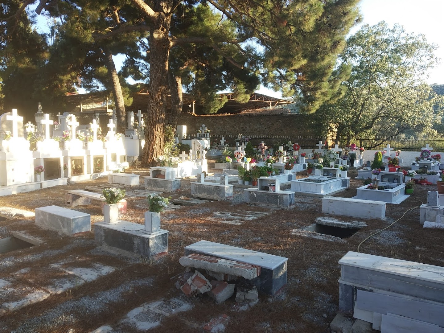 Gallery image 8