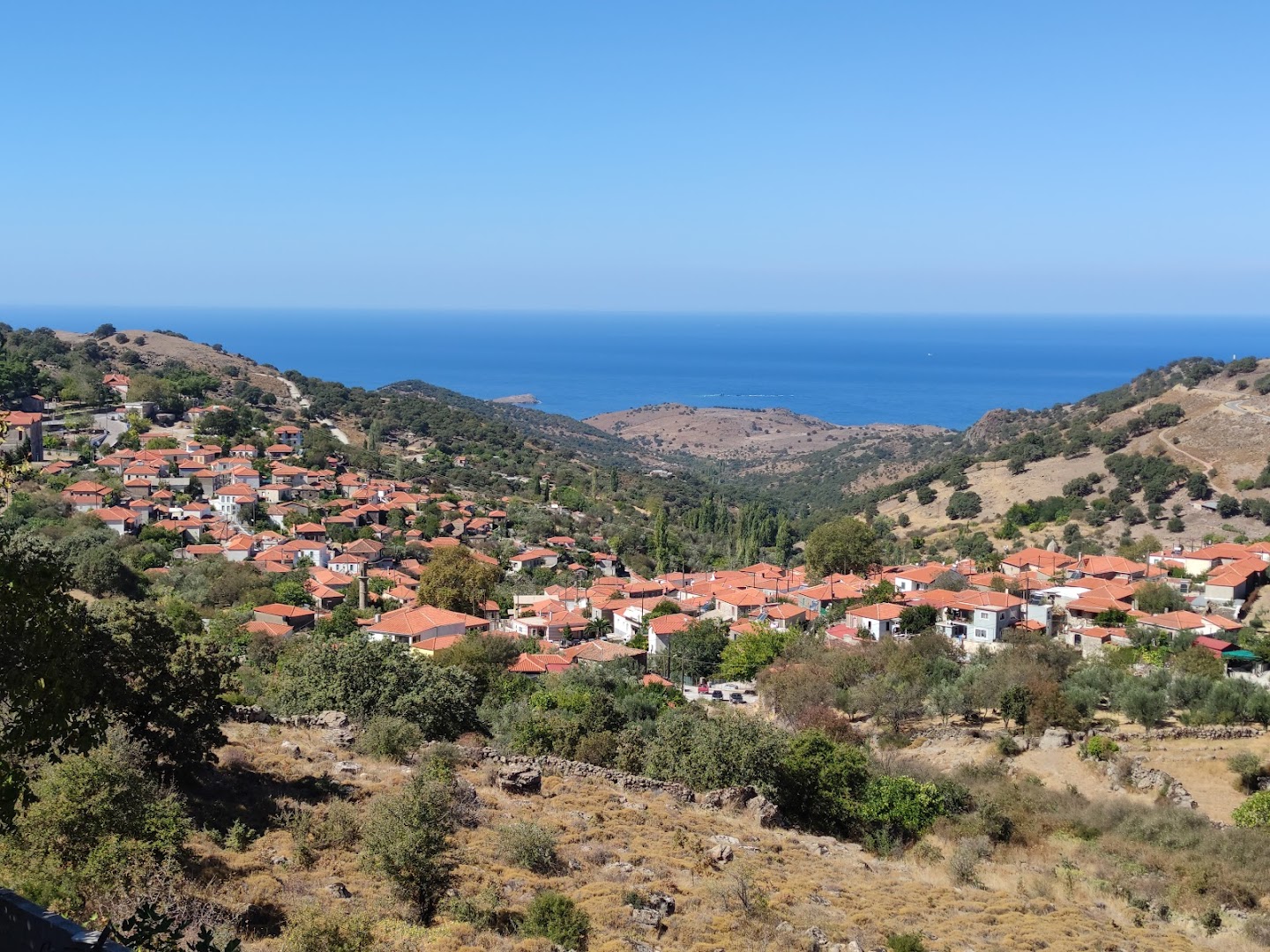 Mpalini