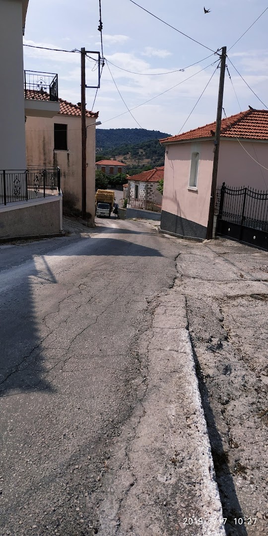 Gallery image 17