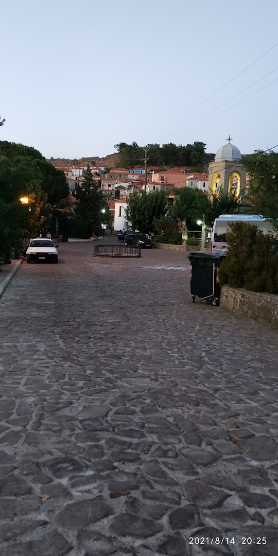 Gallery image 14