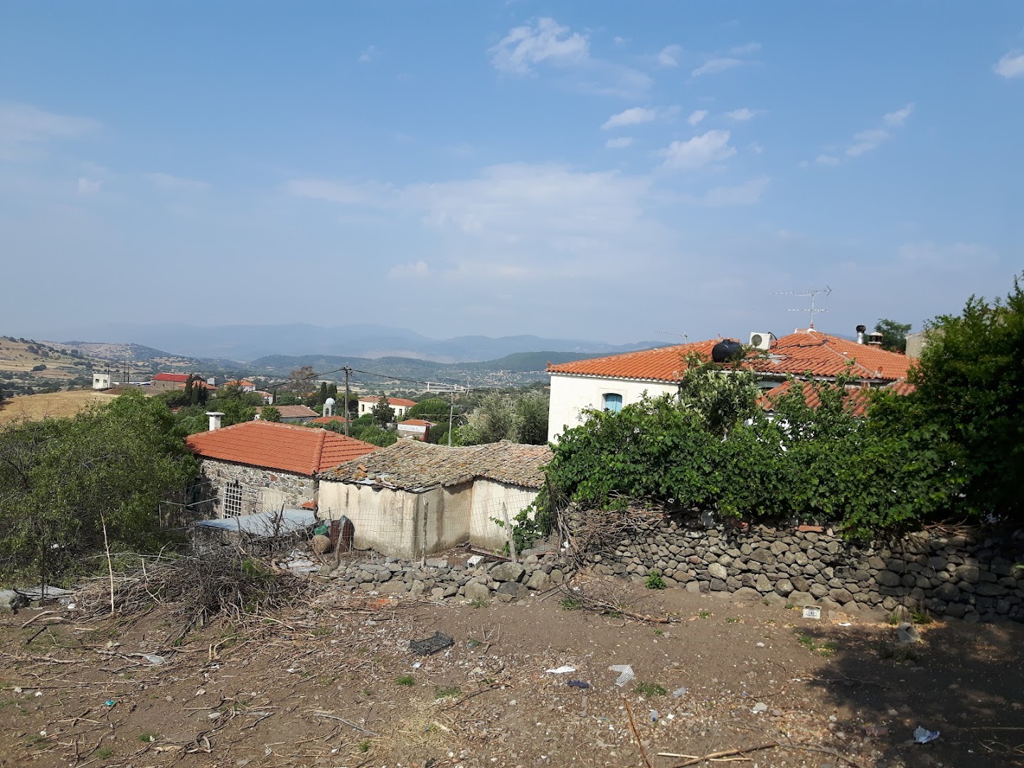 Napi