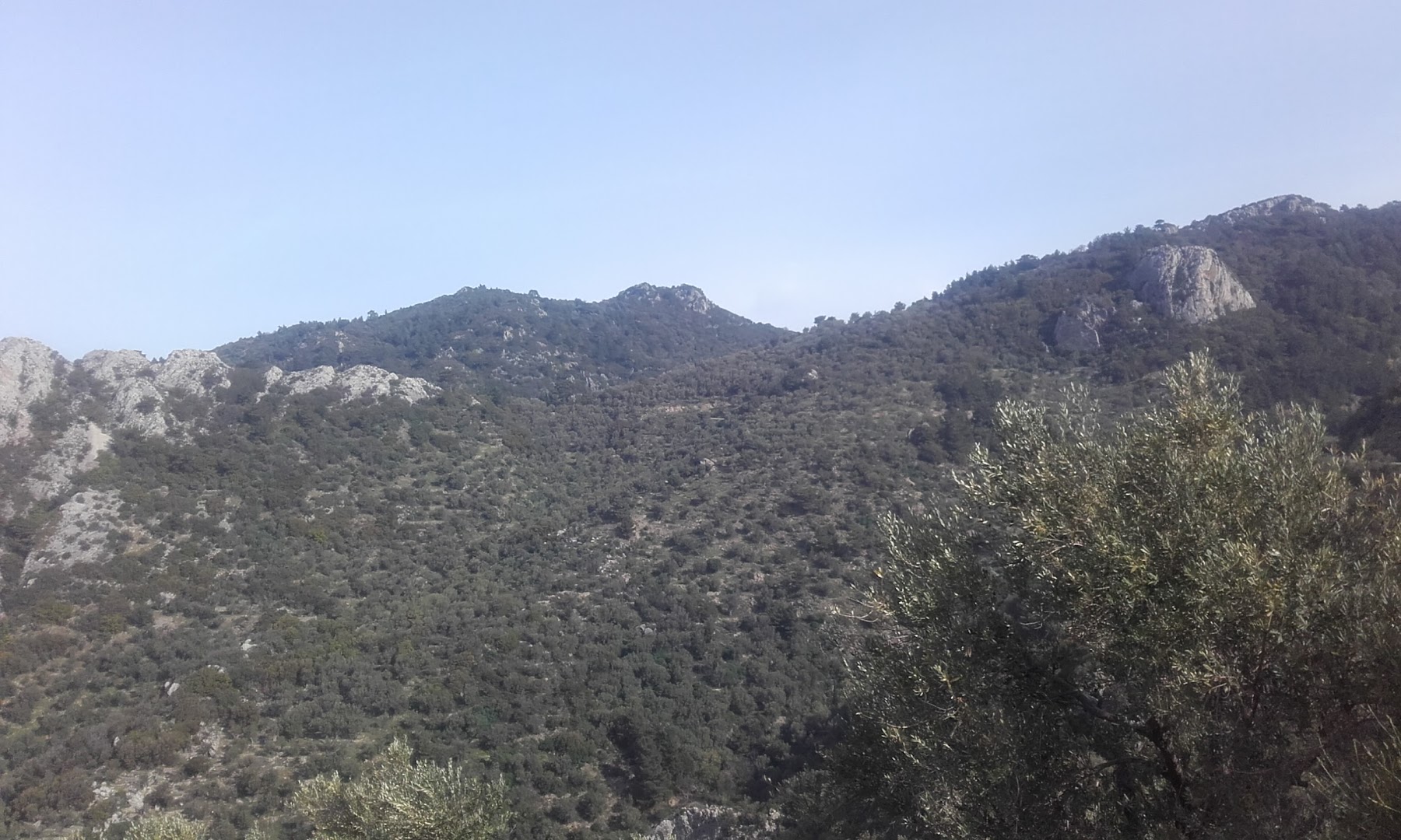 Gallery image 12