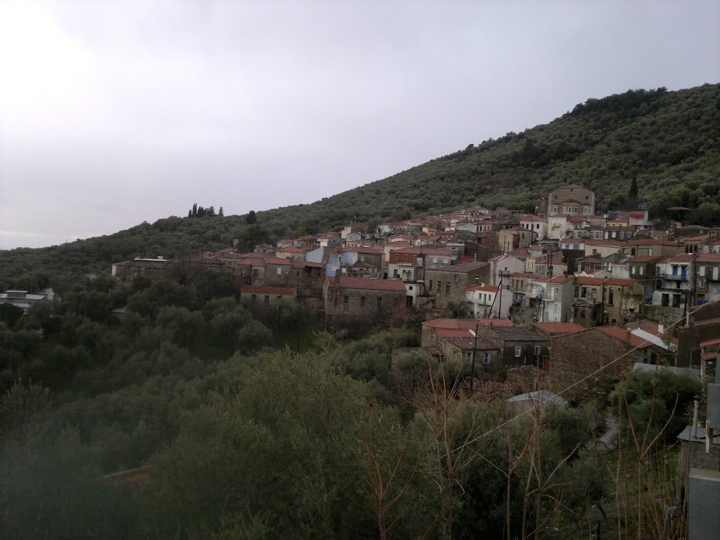 Gallery image 11