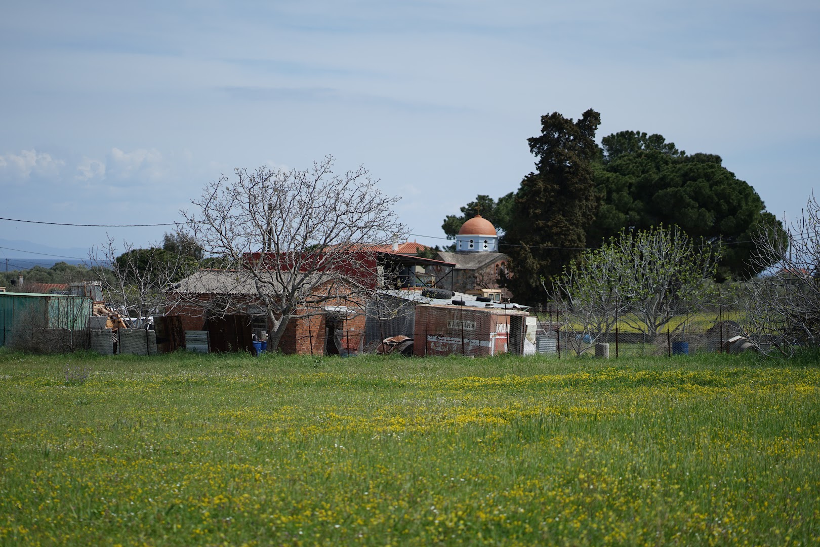 Gallery image 13