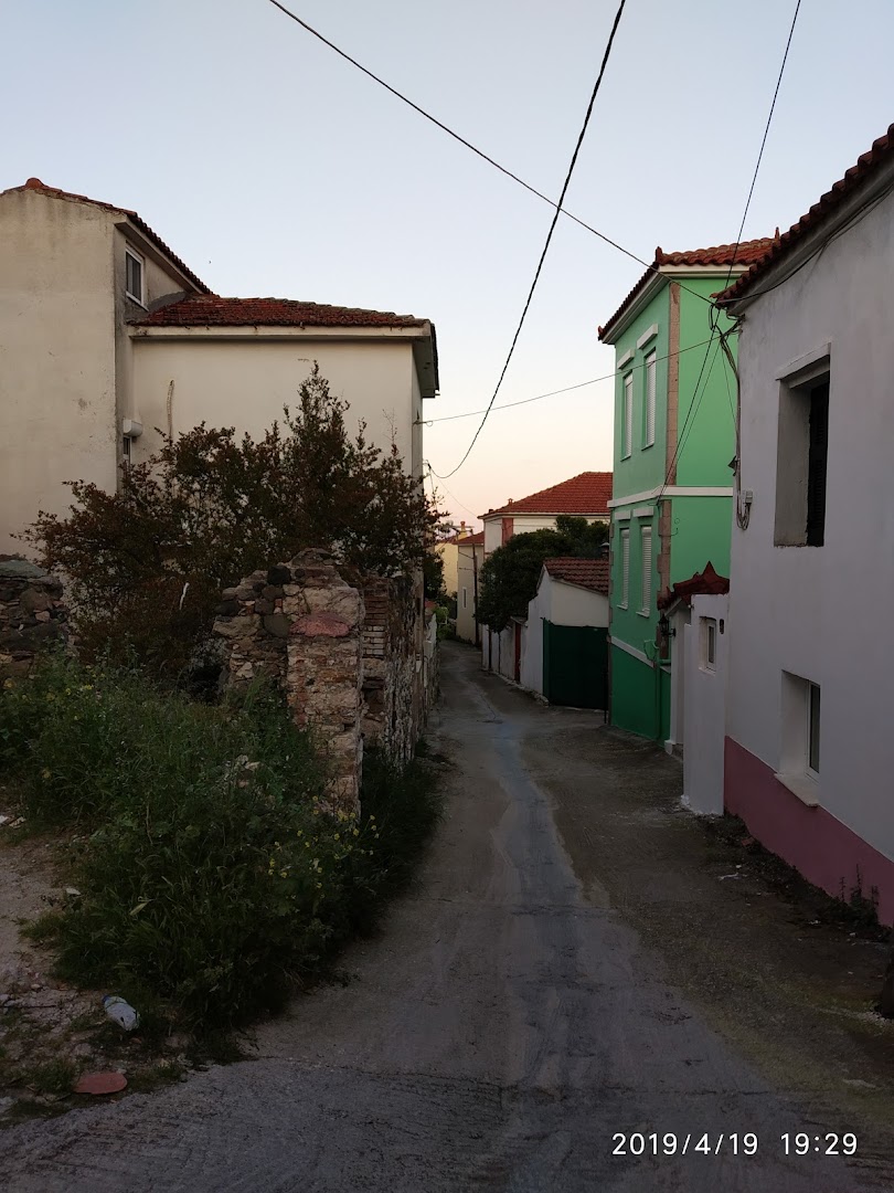 Gallery image 22