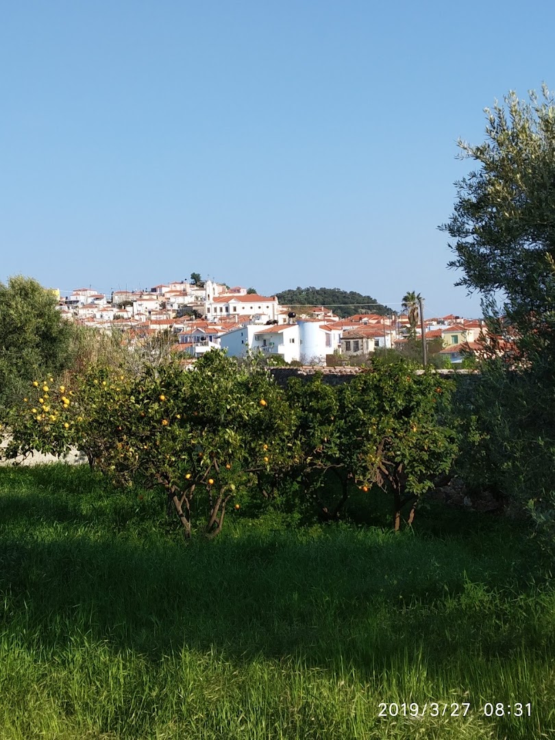 Gallery image 12
