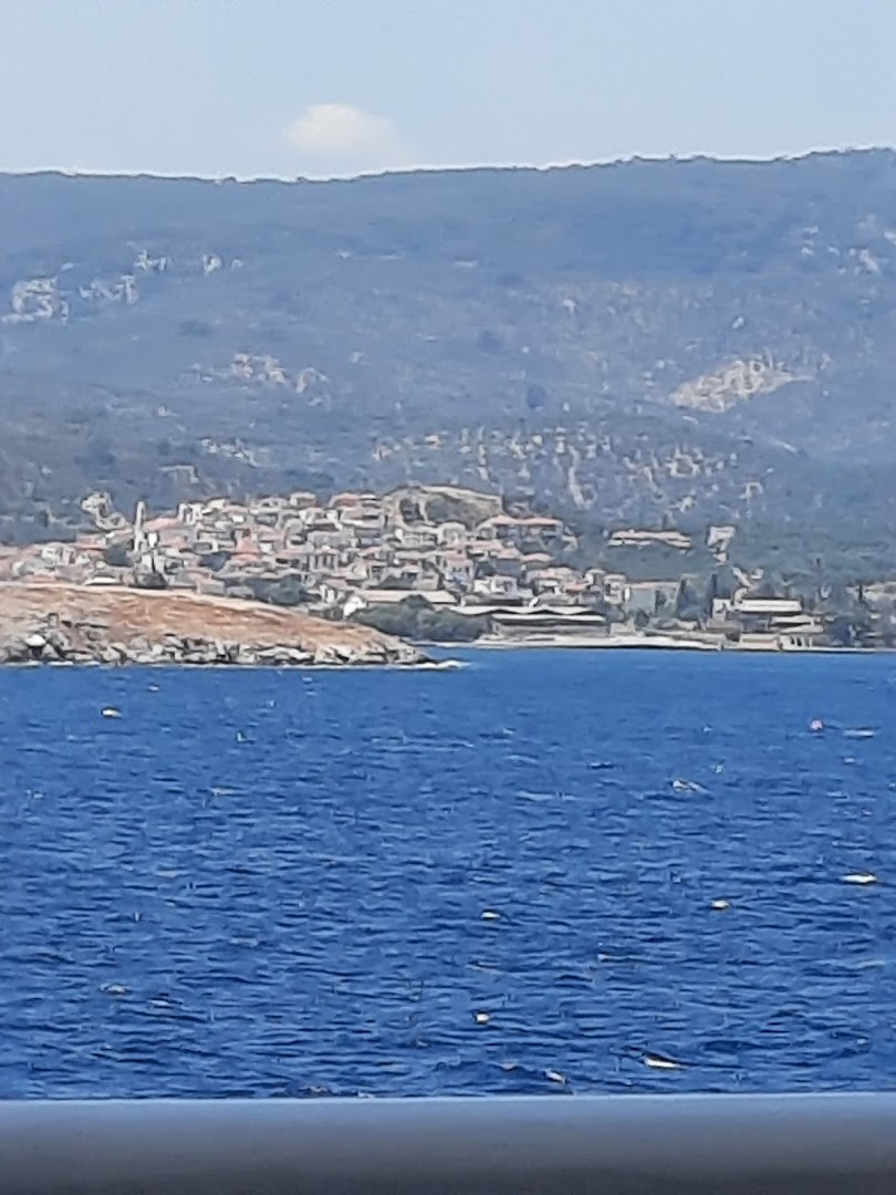 Gallery image 11