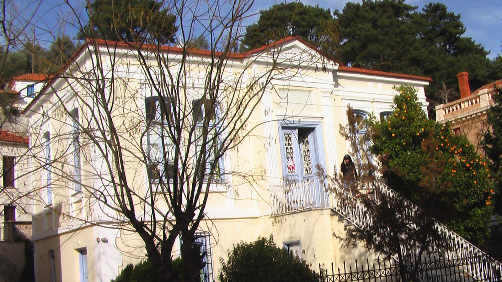 Gallery image 7