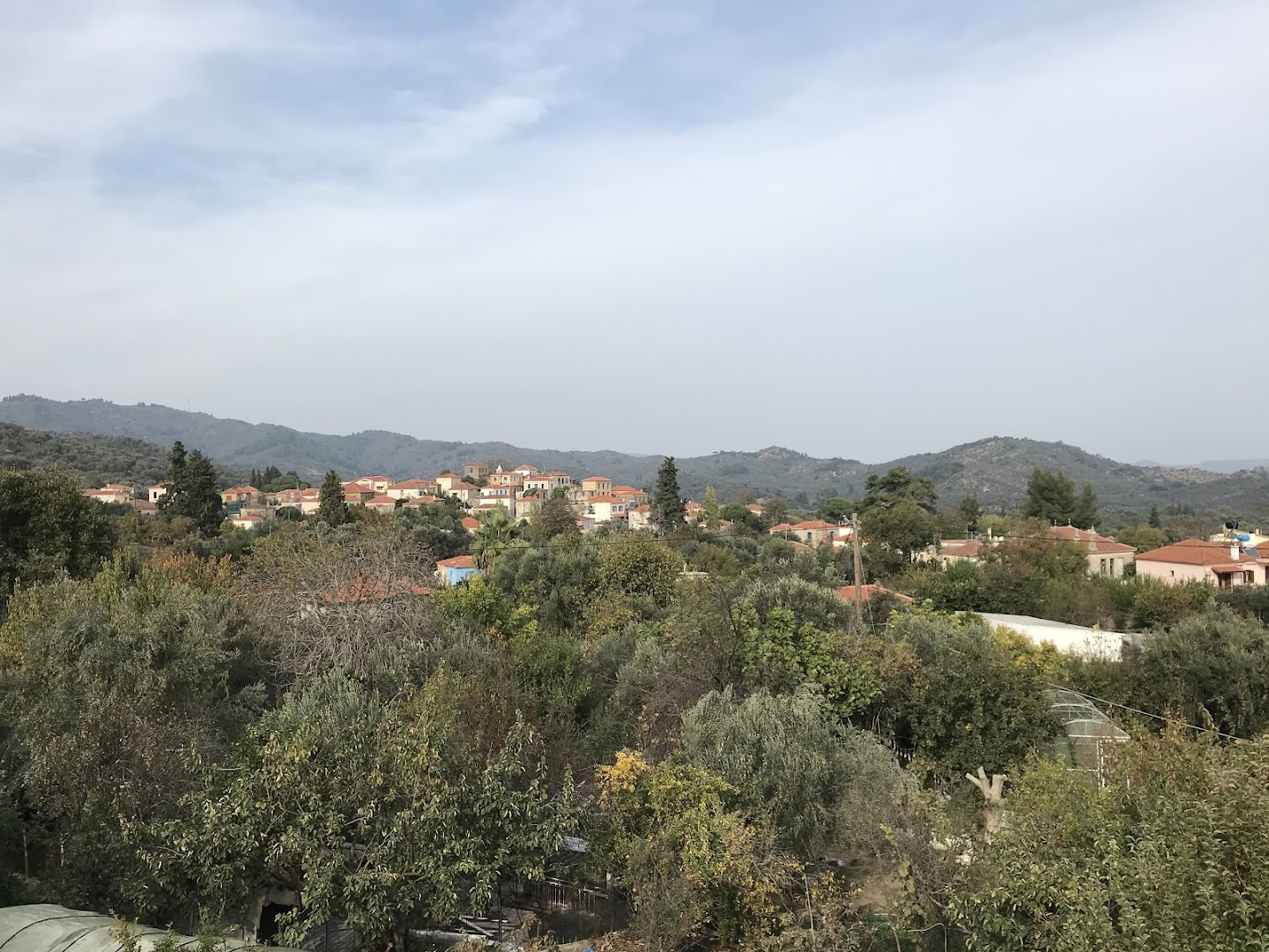 Gallery image 11