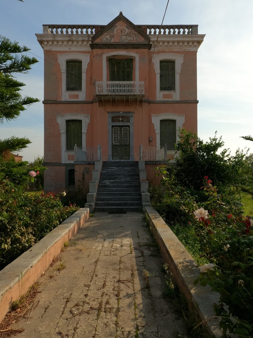 Gallery image 5