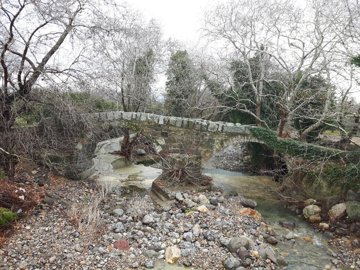 Gallery image 12