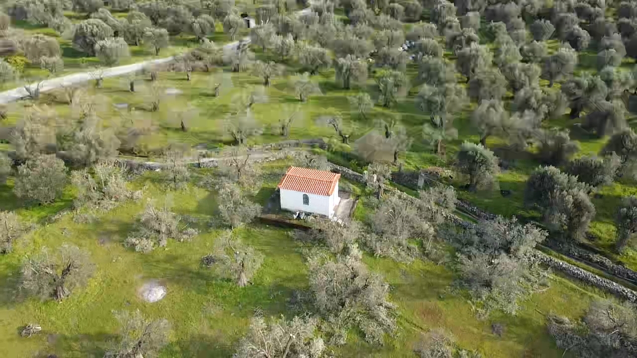 Parakoila