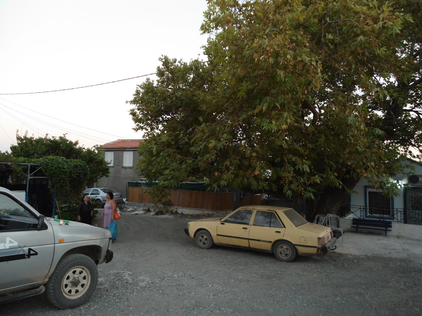Gallery image 12