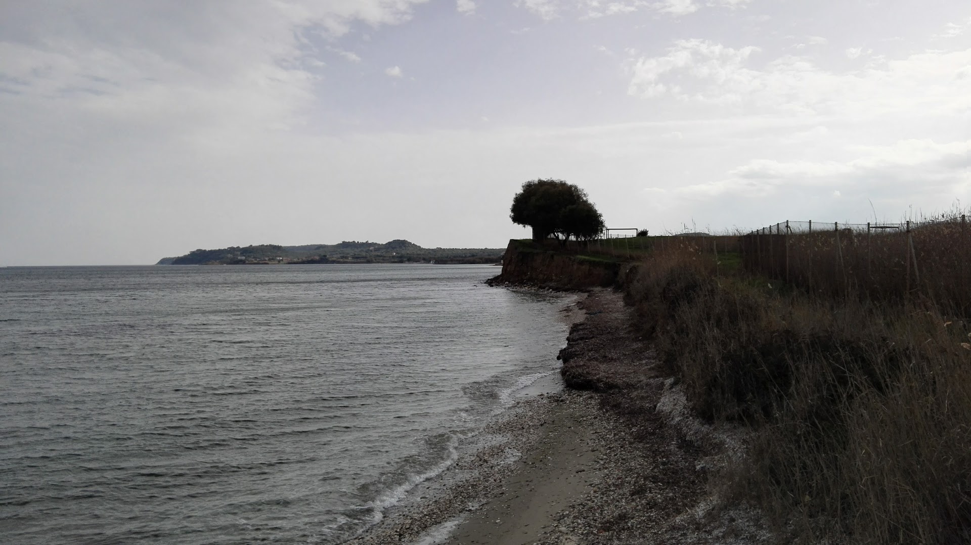 Gallery image 14
