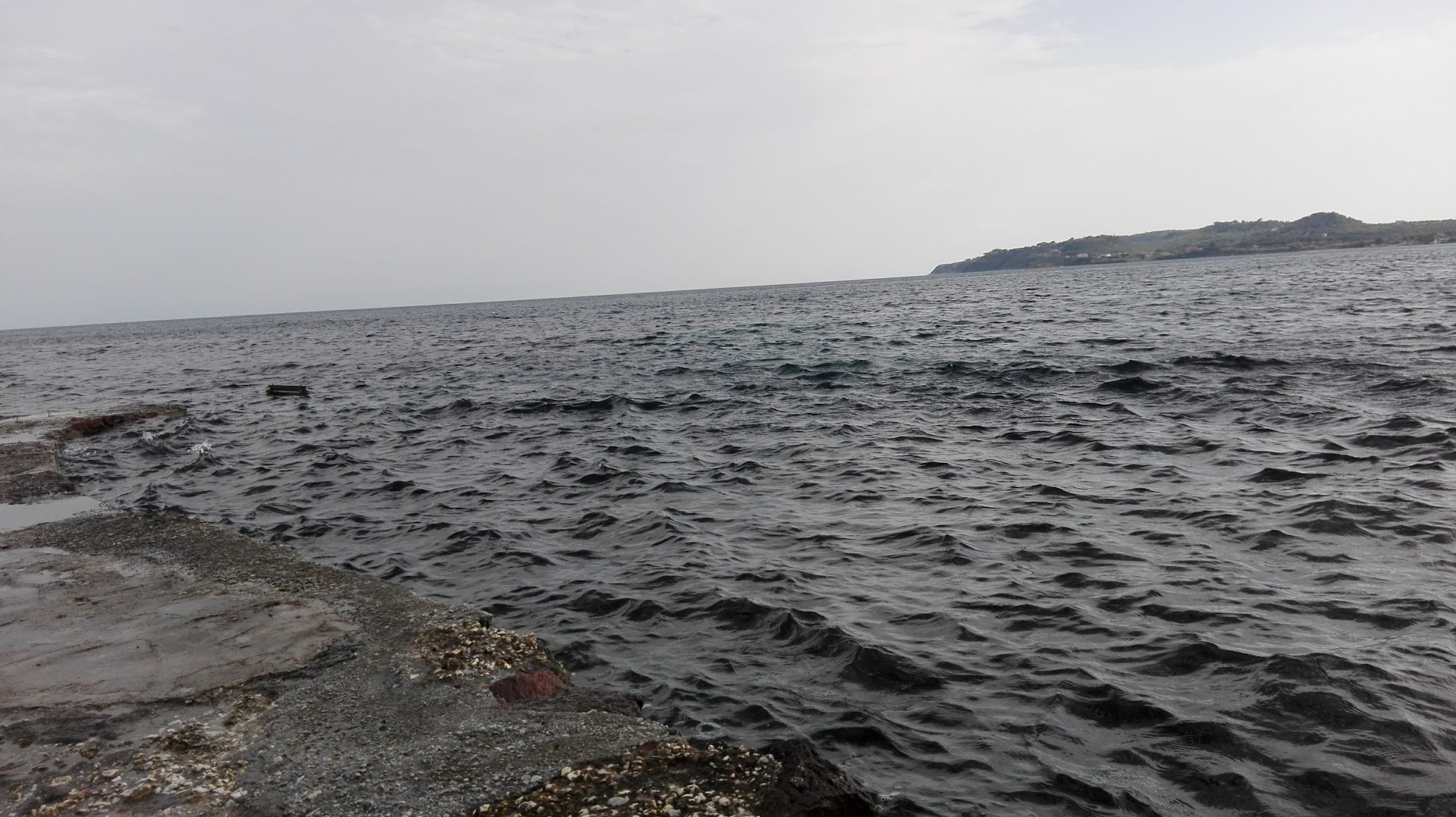 Gallery image 12