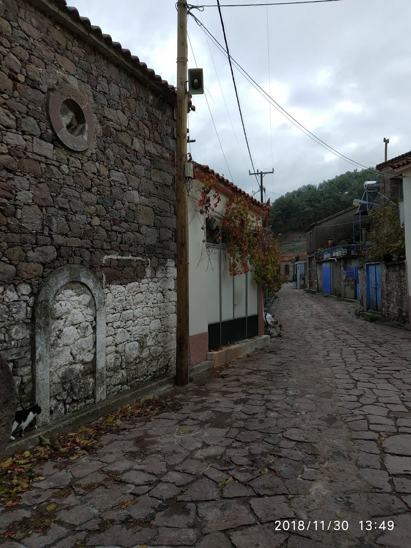 Gallery image 19