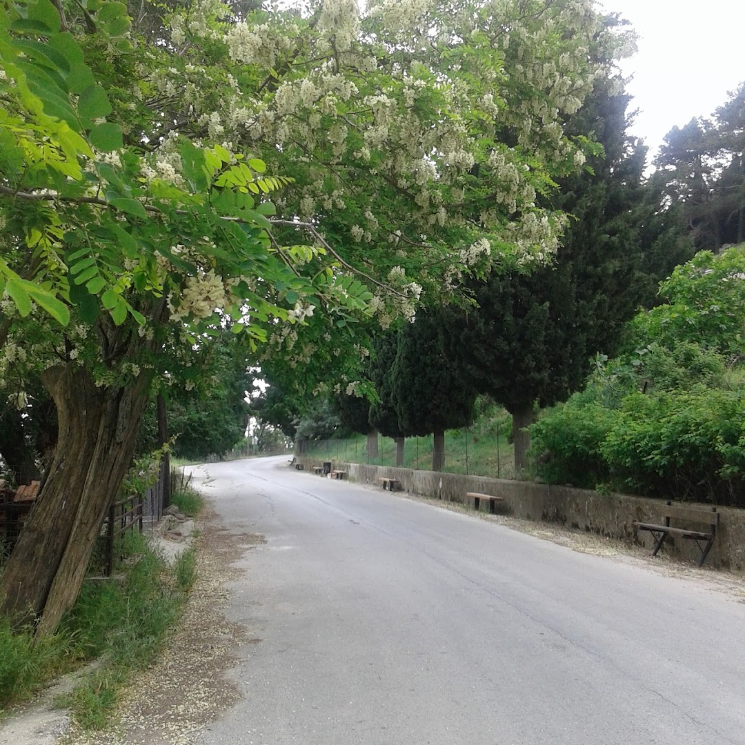 Gallery image 6