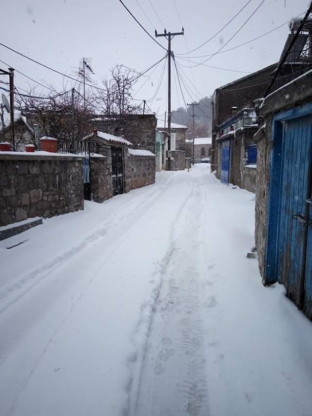 Gallery image 18